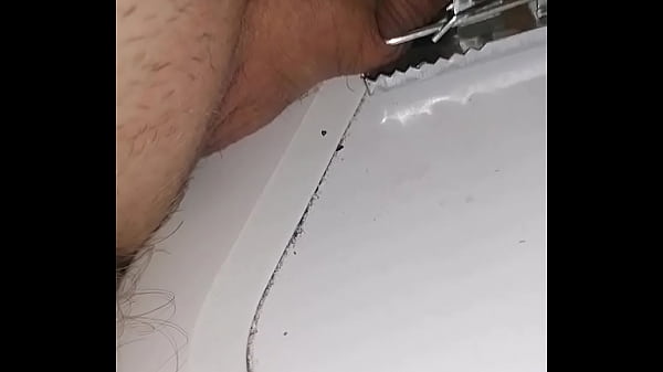 Small penis painful Mouse trap  