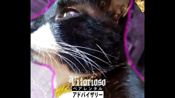 Moreno gostoso fazendo vadias gozarem ouvindo sua m&uacute;sica