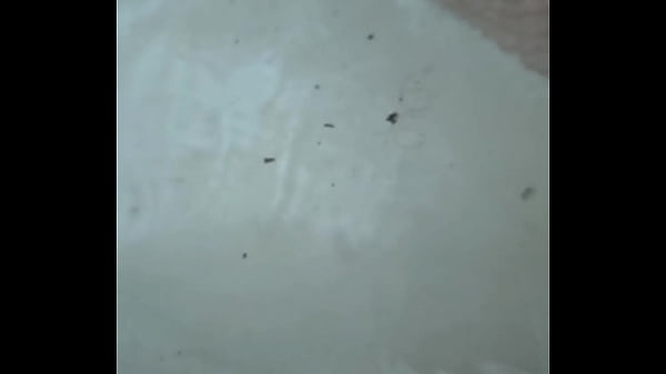 Being paid to shave my hairy cock  