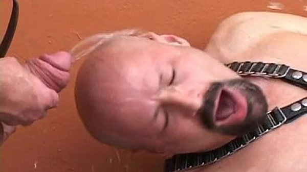 Pissing, Fisting, Spitting, Fucking, Breeding... on a bench