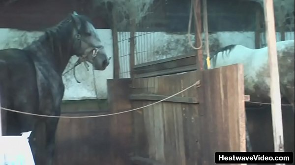 Hey My step Grandma is a Whore #21 - Jenny - This granny is a chunky woman with sagging tits and a huge fat ass, but that doesn't worry this young dick, a hole is the goal  