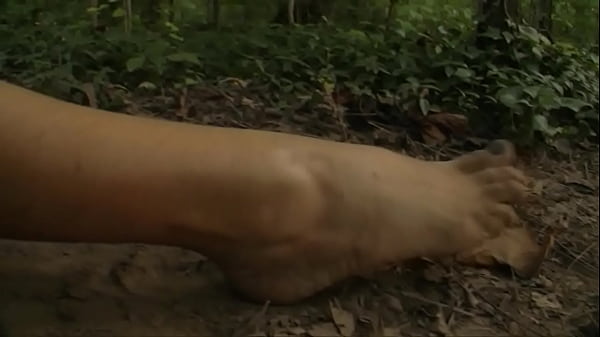 Enraged by his losses against the Amazon Queen, Pentheselia, Achilles rages into the Amazon jungle to seek out his revenge.