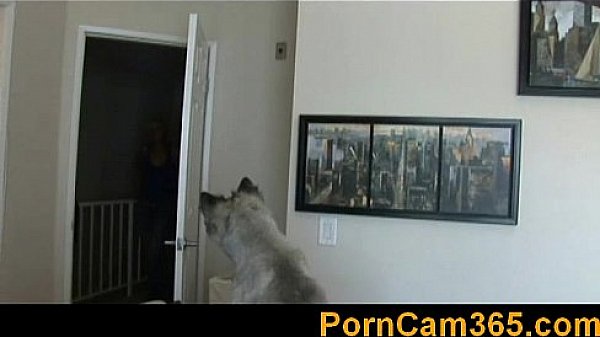 dwp bridgette b-sd169 clip1 01  