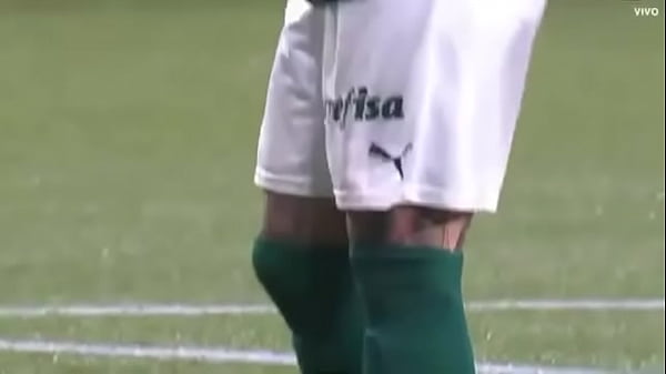 Porco fudendo a galinha