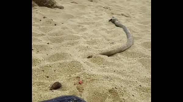 Masturbating on a public beach