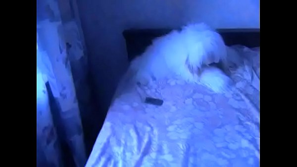 Excited chick pleasures boyfriend