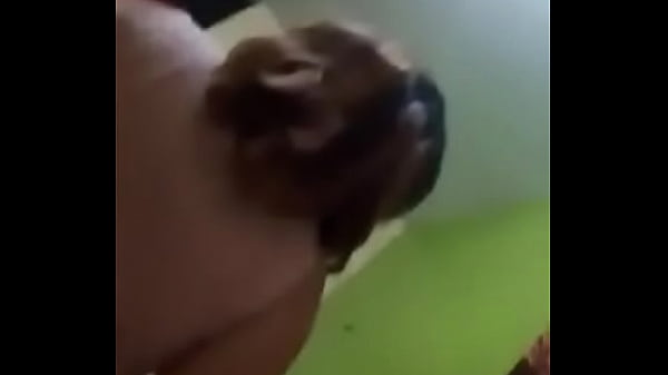 Sexo con una venezolana nalgona compa&ntilde;era de la oficina