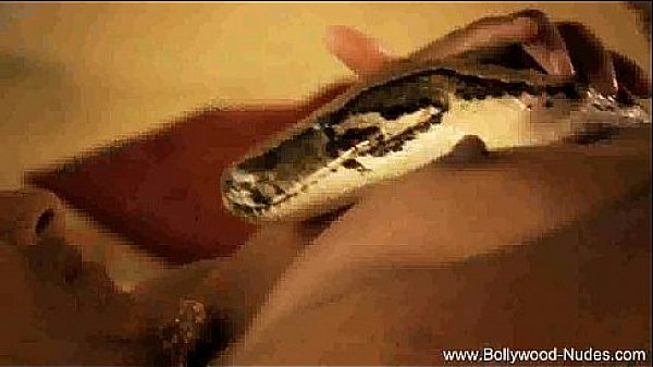 Brunette Indian Dream MILF