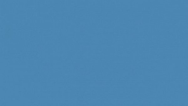 Patas al hombro (Aron Herandez