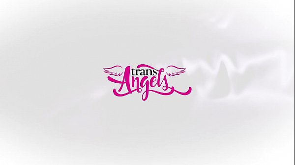 Dominative - TransAngels