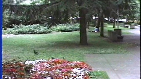 LBO - Pussy Fest Of The Northwest Vol3 - scene 5