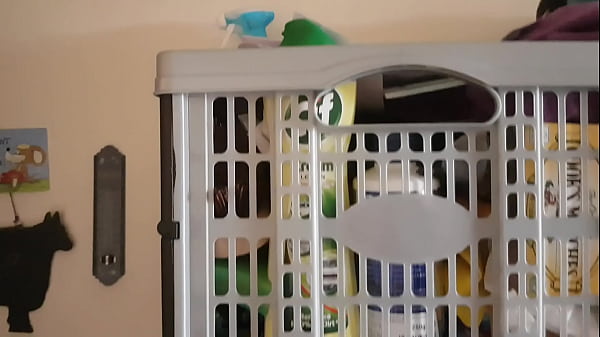 Untidy flat needs a good sorting out  