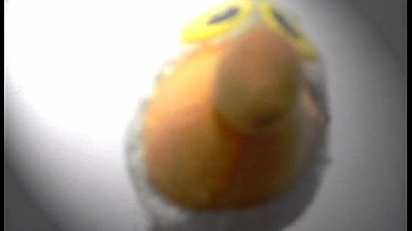 ESTE ES UN DOCUMENTAL, SOBRE LA VIDA DE BENITO CAMELO HIGH