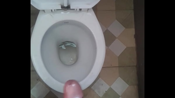 Punjabi In Mohali, Chandigarh