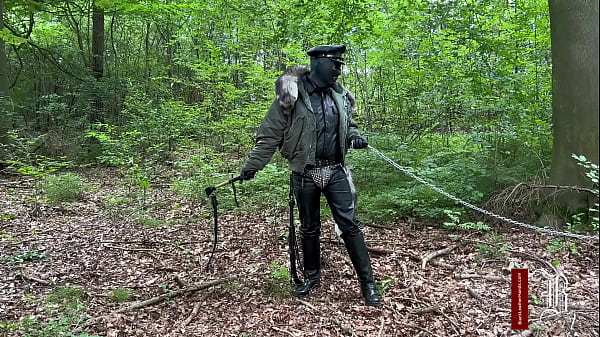 COME IN, OR THE WHIP DANCES  