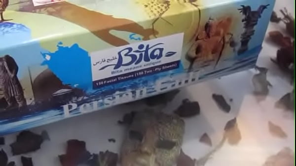 xvideos.com 2ed0f01aa18526610d62e581ce083ec5