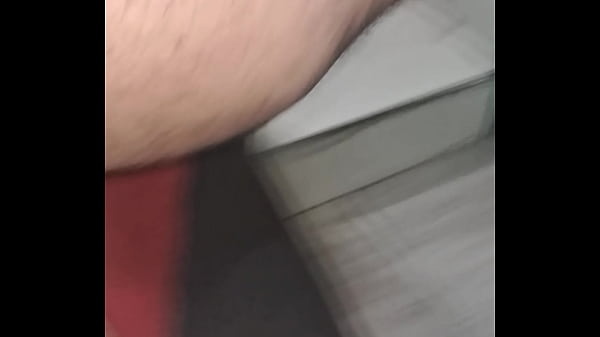 Pau de a&ccedil;&uacute;car