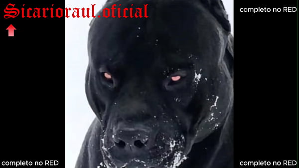 Tr&ecirc;s casadas saem escondidas dos maridos pra ter uma noite sozinhas, as tr&ecirc;s putinhas safadas v&atilde;o se beber e se chupar a noite toda, cheias de fogo na buceta