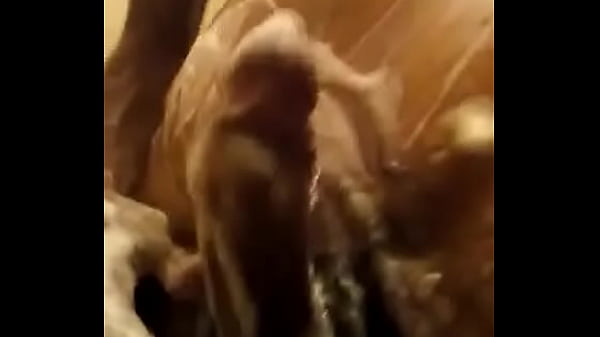 La verga del mayate de ocuilzapotlan