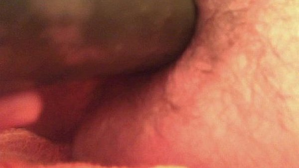 cucumber in may ass 1