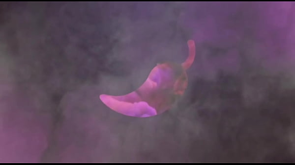 Bianca produ&ccedil;&otilde;es