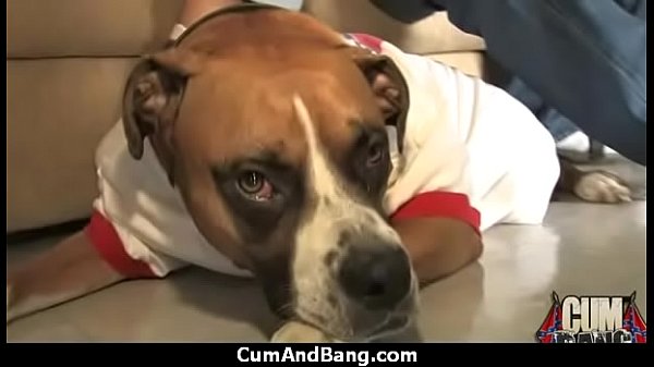 Nasty group blowjob porn video 8