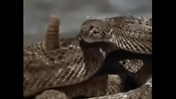 Chennai Profile Chennai Chennai 