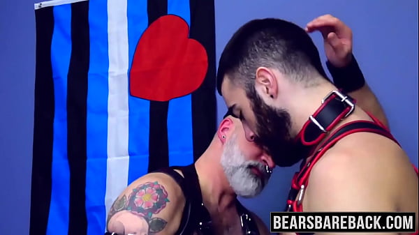 Mature bear sticks his cock up hairy ass