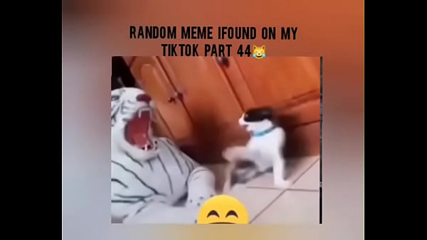 Tiktok cold  moment complition part 1  