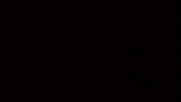 adotei 3 garotas de rua que estavam abandonadas e sendo desrespeitadas