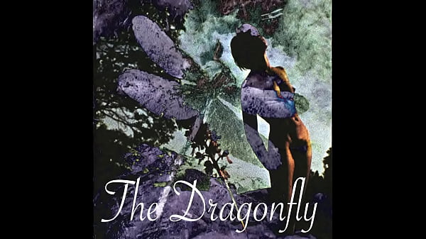The Dragonfly  