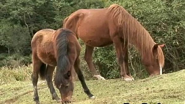 Two Horny Gay Barebacked Sex Hardciore 