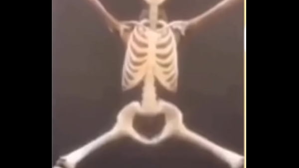 THE MOST PERFECT VID EVER (shitpost)  