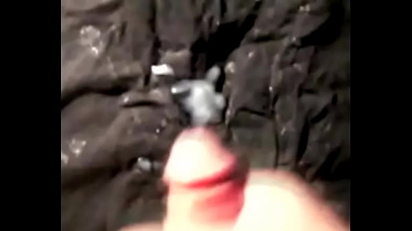 Tiger12ab beim wixxen