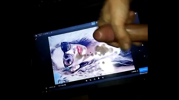 Todo para Terericanorte 