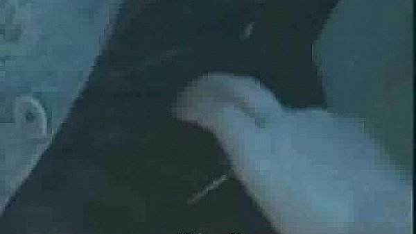 Hollywood Celebs fucking compilation  