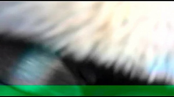 A mi amigo si se la chupan 3