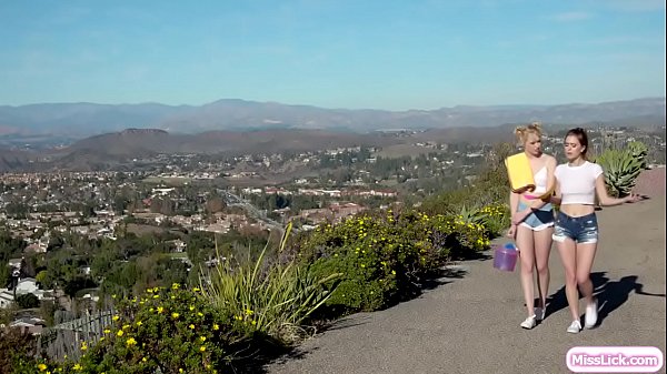 Two hot teens start doing their own carwash business because their old carwash job has been closed.They start finding their customers by going door to door giving out flyers.After the carwash,they get home and start kissing and licking their pussies. 