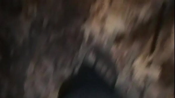 vixen vanity out walking the dog