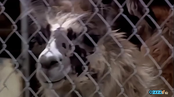 A voluptuous blonde receives a clitoral implant after performing a blowjob on a man. 