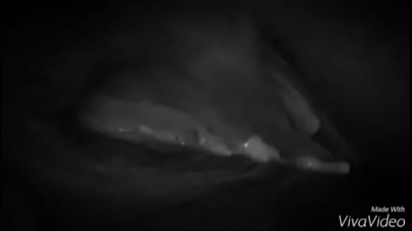 un lindo detalle para nuestros seguidores  