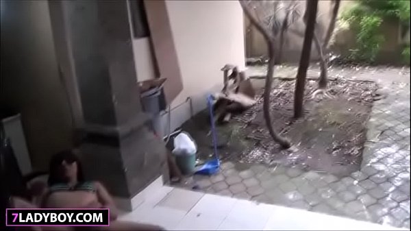 Thai Ladyboy Quin Masturbating And Blowjob