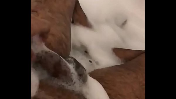 Male masturbate with new slowmob  