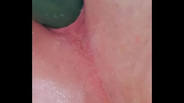 shaved miniature ass