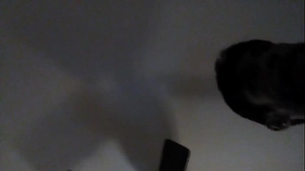 My Video Collection Of Me Fucking Many Different Types Tightness  Of Homemade Pocket Pussies From Really Tight Virgin Tightness To Not So Tight Enjoy My Video.