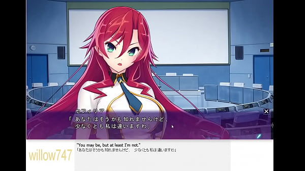 visual novel  