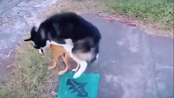 Las mejores noticias porno 7-13 octubre 2024