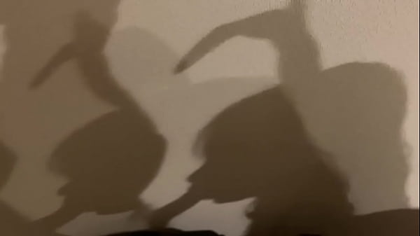 フェラチオ(影)  