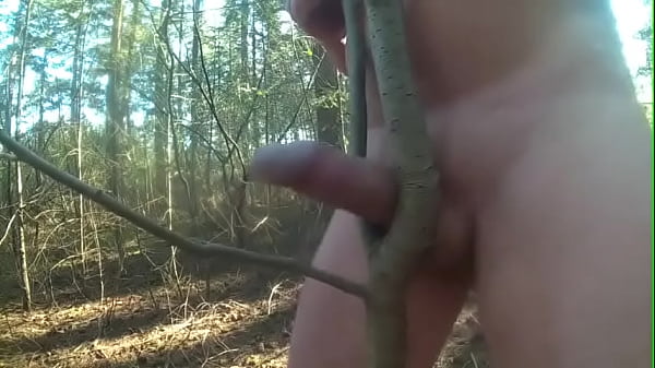fuck tree deep forest