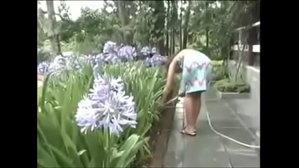 V&iacute;deo de verifica&ccedil;&atilde;o